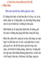 Chuẩn KT-KN môn Toán tiểu hoc(Tài liệu BDTX hè 2011)