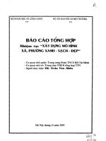Xây dựng mô hình xã, phường xanh sạch đẹp