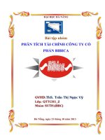 PHÂN TÍCH TÀI CHÍNH CÔNG TY CỔ PHẦN BIBICA