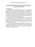 Hướng dẫn HS lớp 5 làm luyện tập Tả cảnh- 2008-2009