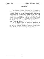 đồ án thực phẩm tương