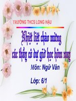 giáo án ngữ văn lớp 6 bồi dưỡng tham khảo bài thầy bói xem voi (11)