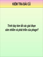 BÀI 45: VIRUT GÂY BỆNH VÀ ỨNG DỤNG