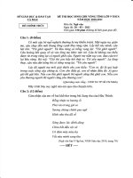 Đề Thi HSG Ngữ Văn 9 tỉnh Cà Mau năm 2011