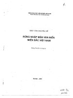 Rừng ngập mặn ven biển miền Bắc Việt Nam