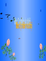 bài 4 bao ve mat va tai