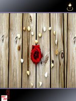 GÕ CỬA TRÁI TIM - 08/02/2011