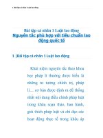 Nguyên tắc phù hợp với tiêu chuẩn lao động quốc tế