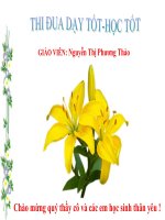 giáo án bồi dưỡng tham khảo thao giảng thi giáo viên giỏi môn vật lý 6 bài 14 máy cơ đơn giản (14)