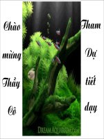 Tiết 21_Từ bài toán đến chương trình