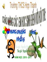 L6. Rung chuông vàng THCS Hợp Thanh