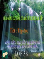 Những con sếu bằng giấy