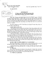 Kế hoạch về đổi mới nội dung phương thức hoạt động của Đoàn TNCS HCM.