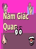 chủ diểm bản thân: kpxh