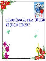 giáo án bồi dưỡng thao giảng môn sinh học lớp 6 sự vận chuyển các chất trong thân (2)