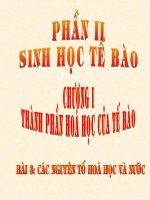 Bài 3 : các nguyên tố hóa học