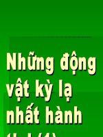 Nhung dong vat ki la