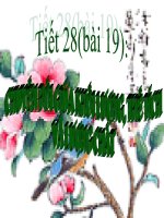 tiết 28(bài 19): CHUYỂN ĐỔI GIỮA THỂ TÍCH VÀ LƯỢNG CHẤT