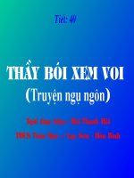 giáo án ngữ văn lớp 6 bồi dưỡng tham khảo bài thầy bói xem voi (14)