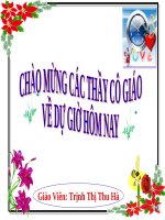 giáo án bồi dưỡng thao giảng môn sinh học lớp 6 sự vận chuyển các chất trong thân (11)