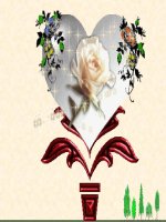 10 unit 13 language focus