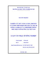 Nghiên cứu mức năng lượng, protein và lysine thích hợp cho lợn cái hậu bị giống landrace và yorkshire trong điều kiện nuôi dưỡng tại việt nam