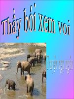 giáo án ngữ văn lớp 6 bồi dưỡng tham khảo bài thầy bói xem voi (13)