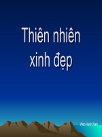 Hình nền tuyệt đẹp.