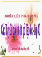 TẬP ĐỌC: CÓ CHÍ THÌ NÊN