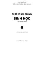THIET-KE-BAI-GIANG-SINH-HOC-6