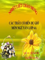 giáo án bồi dưỡng thao giảng ngữ văn lớp 6 ngôi kể  và lời kể trong văn tự sự (6)