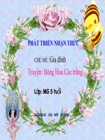 Truyện Bông  Hoa Cúc trắng