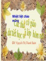 giáo án ngữ văn lớp 6 bồi dưỡng tham khảo bài thầy bói xem voi (8)