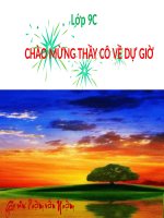 bài giảng lịch sử 9 bài 8 nước mĩ