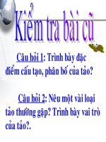 bai Rêu - Cây rêu
