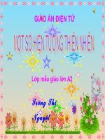 hiện tượng tự nhiên