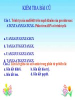 bai 3: Điều hòa hoạt động gen