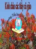 Tập đọc Ngắm trăng