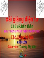 VH Thỏ bông bị ốm