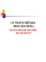 Chuyên đề: Các ND triển khai phong trào thi đua: 