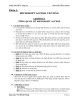 Giáo trình lý thuyết access