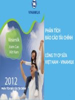 phân tích báo cáo tài chính công ty vinamilk 2013 (free)