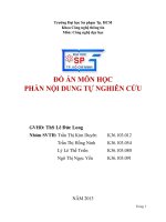 Đồ án môn học phần nội dung tự nghiên cứu