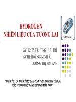 Tiểu luận hydrogen nhiên liệu của tương lai