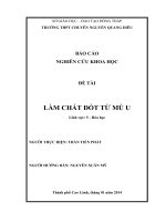 Báo cáo khoa học làm chất đốt từ trái mù u