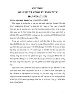 BÁO CÁO THỰC TẬP CÔNG TY TNHH MTV DAP VINACHEM