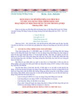 Mo hinh hay hoat dong Doi TNTPHCM.doc