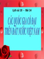 bài giảng lịch sử 10 bài 14 các quốc gia cổ đại trên đất nước việt nam