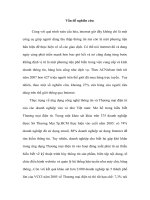 Thương mại điện tử và các yếu tố ảnh hưởng đến người tiêu dùng