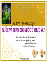 Trao đổi nước ở thực vật